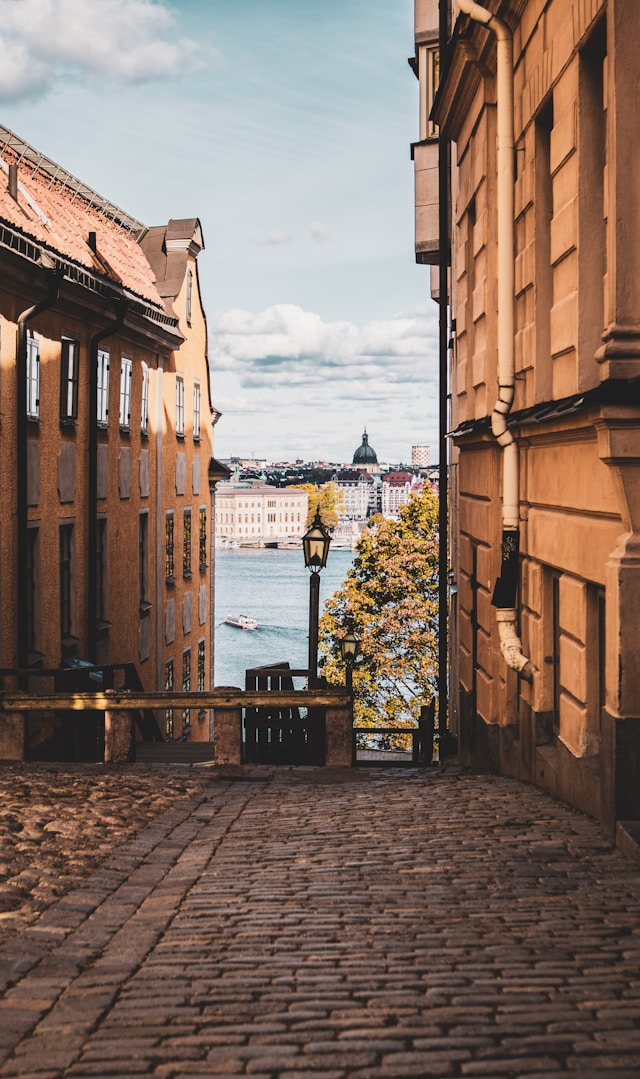 anna-hunko-gZgsYzi-Qe0-unsplash